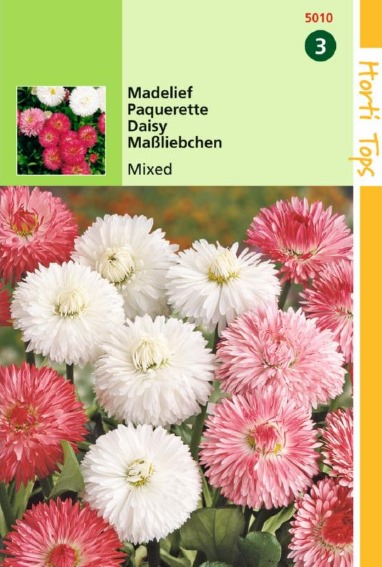 Daisy Monstrosa Mix (Bellis) 1250 seeds